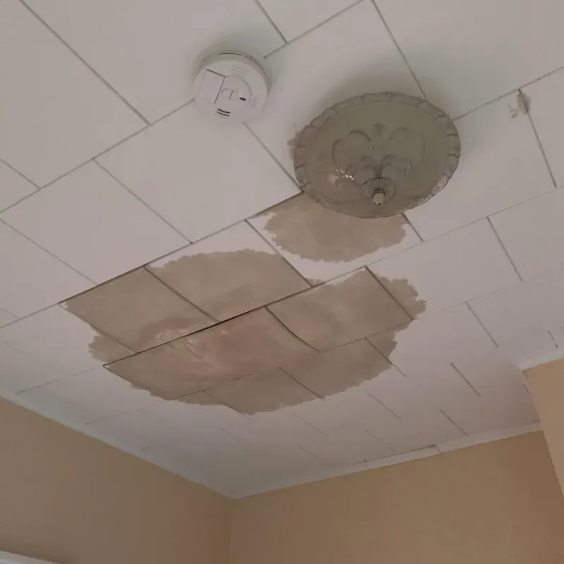 Ceiling Water Damage Repair in Saint George, ME