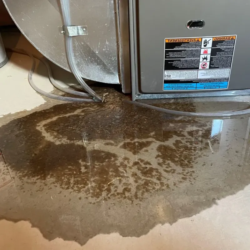 Pipe Burst and Leak Restoration in Saint George, ME
