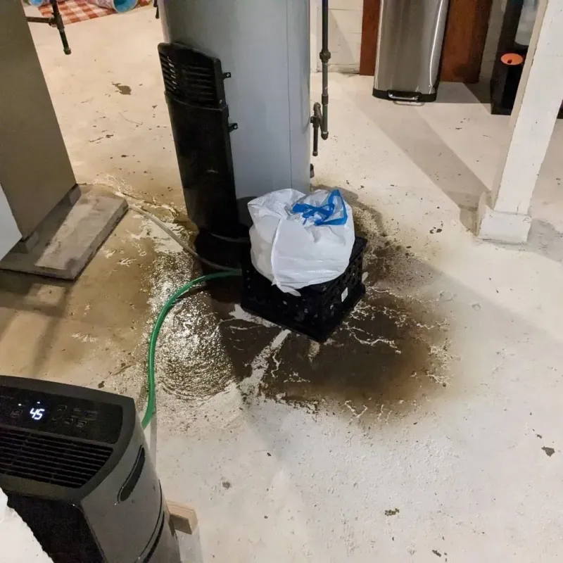 Sewage Backup Cleanup Service in Saint George, ME